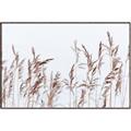Picture of Wheat in the Wind II _GroupedProduct_Rectangle_Landscape_Photography _GroupedProduct_Rectangle_Landscape_Canvas_Framed_