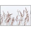 Picture of Wheat in the Wind II _GroupedProduct_Rectangle_Landscape_Photography _GroupedProduct_Rectangle_Landscape_Canvas_Framed_