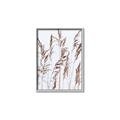 Picture of Wheat in the Wind III _GroupedProduct_Rectangle_Portrait_Photography _GroupedProduct_Rectangle_Portrait_Canvas_Framed_