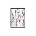 Picture of Wheat in the Wind III _GroupedProduct_Rectangle_Portrait_Photography _GroupedProduct_Rectangle_Portrait_Canvas_Framed_
