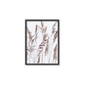 Picture of Wheat in the Wind III _GroupedProduct_Rectangle_Portrait_Photography _GroupedProduct_Rectangle_Portrait_Canvas_Framed_