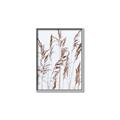 Picture of Wheat in the Wind III _GroupedProduct_Rectangle_Portrait_Photography _GroupedProduct_Rectangle_Portrait_Canvas_Framed_
