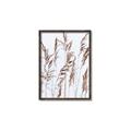 Picture of Wheat in the Wind III _GroupedProduct_Rectangle_Portrait_Photography _GroupedProduct_Rectangle_Portrait_Canvas_Framed_
