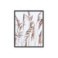 Picture of Wheat in the Wind III _GroupedProduct_Rectangle_Portrait_Photography _GroupedProduct_Rectangle_Portrait_Canvas_Framed_