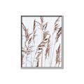 Picture of Wheat in the Wind III _GroupedProduct_Rectangle_Portrait_Photography _GroupedProduct_Rectangle_Portrait_Canvas_Framed_