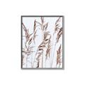 Picture of Wheat in the Wind III _GroupedProduct_Rectangle_Portrait_Photography _GroupedProduct_Rectangle_Portrait_Canvas_Framed_