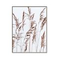 Picture of Wheat in the Wind III _GroupedProduct_Rectangle_Portrait_Photography _GroupedProduct_Rectangle_Portrait_Canvas_Framed_