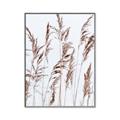 Picture of Wheat in the Wind III _GroupedProduct_Rectangle_Portrait_Photography _GroupedProduct_Rectangle_Portrait_Canvas_Framed_