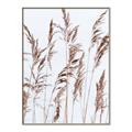 Picture of Wheat in the Wind III _GroupedProduct_Rectangle_Portrait_Photography _GroupedProduct_Rectangle_Portrait_Canvas_Framed_