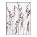 Picture of Wheat in the Wind III _GroupedProduct_Rectangle_Portrait_Photography _GroupedProduct_Rectangle_Portrait_Canvas_Framed_