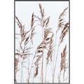 Picture of Wheat in the Wind III _GroupedProduct_Rectangle_Portrait_Photography _GroupedProduct_Rectangle_Portrait_Canvas_Framed_