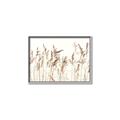 Picture of Wheat in the Wind IV _GroupedProduct_Rectangle_Landscape_Photography _GroupedProduct_Rectangle_Landscape_Canvas_Framed_