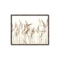 Picture of Wheat in the Wind IV _GroupedProduct_Rectangle_Landscape_Photography _GroupedProduct_Rectangle_Landscape_Canvas_Framed_