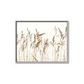 Picture of Wheat in the Wind IV _GroupedProduct_Rectangle_Landscape_Photography _GroupedProduct_Rectangle_Landscape_Canvas_Framed_