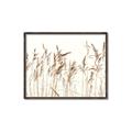 Picture of Wheat in the Wind IV _GroupedProduct_Rectangle_Landscape_Photography _GroupedProduct_Rectangle_Landscape_Canvas_Framed_