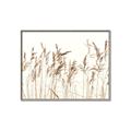 Picture of Wheat in the Wind IV _GroupedProduct_Rectangle_Landscape_Photography _GroupedProduct_Rectangle_Landscape_Canvas_Framed_