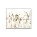 Picture of Wheat in the Wind IV _GroupedProduct_Rectangle_Landscape_Photography _GroupedProduct_Rectangle_Landscape_Canvas_Framed_