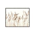 Picture of Wheat in the Wind IV _GroupedProduct_Rectangle_Landscape_Photography _GroupedProduct_Rectangle_Landscape_Canvas_Framed_