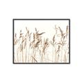 Picture of Wheat in the Wind IV _GroupedProduct_Rectangle_Landscape_Photography _GroupedProduct_Rectangle_Landscape_Canvas_Framed_