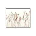 Picture of Wheat in the Wind IV _GroupedProduct_Rectangle_Landscape_Photography _GroupedProduct_Rectangle_Landscape_Canvas_Framed_