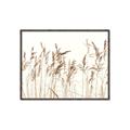 Picture of Wheat in the Wind IV _GroupedProduct_Rectangle_Landscape_Photography _GroupedProduct_Rectangle_Landscape_Canvas_Framed_