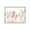 Picture of Wheat in the Wind IV _GroupedProduct_Rectangle_Landscape_Photography _GroupedProduct_Rectangle_Landscape_Canvas_Framed_