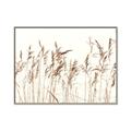 Picture of Wheat in the Wind IV _GroupedProduct_Rectangle_Landscape_Photography _GroupedProduct_Rectangle_Landscape_Canvas_Framed_
