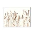 Picture of Wheat in the Wind IV _GroupedProduct_Rectangle_Landscape_Photography _GroupedProduct_Rectangle_Landscape_Canvas_Framed_