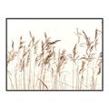 Picture of Wheat in the Wind IV _GroupedProduct_Rectangle_Landscape_Photography _GroupedProduct_Rectangle_Landscape_Canvas_Framed_