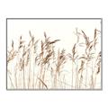 Picture of Wheat in the Wind IV _GroupedProduct_Rectangle_Landscape_Photography _GroupedProduct_Rectangle_Landscape_Canvas_Framed_