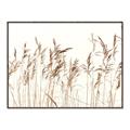 Picture of Wheat in the Wind IV _GroupedProduct_Rectangle_Landscape_Photography _GroupedProduct_Rectangle_Landscape_Canvas_Framed_