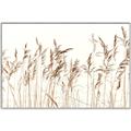 Picture of Wheat in the Wind IV _GroupedProduct_Rectangle_Landscape_Photography _GroupedProduct_Rectangle_Landscape_Canvas_Framed_