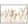 Picture of Wheat in the Wind IV _GroupedProduct_Rectangle_Landscape_Photography _GroupedProduct_Rectangle_Landscape_Canvas_Framed_