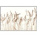 Picture of Wheat in the Wind IV _GroupedProduct_Rectangle_Landscape_Photography _GroupedProduct_Rectangle_Landscape_Canvas_Framed_