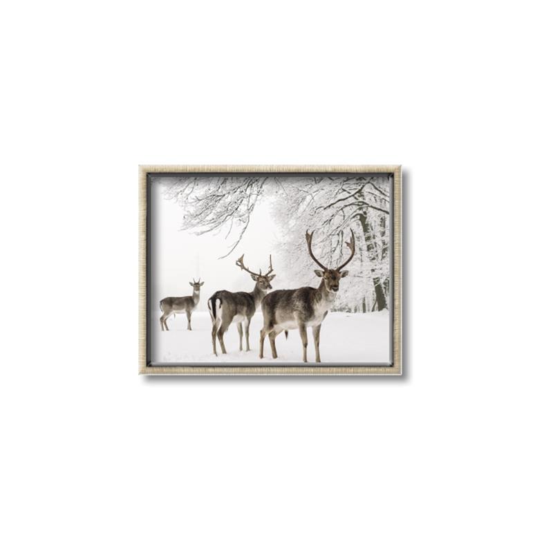 Picture of Winter Deers _GroupedProduct_Rectangle_Landscape_Photography _GroupedProduct_Rectangle_Landscape_Canvas_Framed_