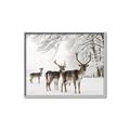 Picture of Winter Deers _GroupedProduct_Rectangle_Landscape_Photography _GroupedProduct_Rectangle_Landscape_Canvas_Framed_