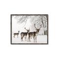 Picture of Winter Deers _GroupedProduct_Rectangle_Landscape_Photography _GroupedProduct_Rectangle_Landscape_Canvas_Framed_