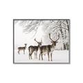 Picture of Winter Deers _GroupedProduct_Rectangle_Landscape_Photography _GroupedProduct_Rectangle_Landscape_Canvas_Framed_