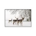Picture of Winter Deers _GroupedProduct_Rectangle_Landscape_Photography _GroupedProduct_Rectangle_Landscape_Canvas_Framed_