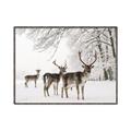 Picture of Winter Deers _GroupedProduct_Rectangle_Landscape_Photography _GroupedProduct_Rectangle_Landscape_Canvas_Framed_