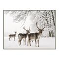 Picture of Winter Deers _GroupedProduct_Rectangle_Landscape_Photography _GroupedProduct_Rectangle_Landscape_Canvas_Framed_