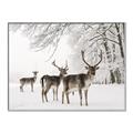 Picture of Winter Deers _GroupedProduct_Rectangle_Landscape_Photography _GroupedProduct_Rectangle_Landscape_Canvas_Framed_