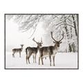 Picture of Winter Deers _GroupedProduct_Rectangle_Landscape_Photography _GroupedProduct_Rectangle_Landscape_Canvas_Framed_