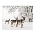 Picture of Winter Deers _GroupedProduct_Rectangle_Landscape_Photography _GroupedProduct_Rectangle_Landscape_Canvas_Framed_