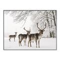 Picture of Winter Deers _GroupedProduct_Rectangle_Landscape_Photography _GroupedProduct_Rectangle_Landscape_Canvas_Framed_