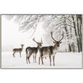 Picture of Winter Deers _GroupedProduct_Rectangle_Landscape_Photography _GroupedProduct_Rectangle_Landscape_Canvas_Framed_