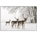 Picture of Winter Deers _GroupedProduct_Rectangle_Landscape_Photography _GroupedProduct_Rectangle_Landscape_Canvas_Framed_