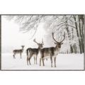 Picture of Winter Deers _GroupedProduct_Rectangle_Landscape_Photography _GroupedProduct_Rectangle_Landscape_Canvas_Framed_