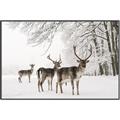 Picture of Winter Deers _GroupedProduct_Rectangle_Landscape_Photography _GroupedProduct_Rectangle_Landscape_Canvas_Framed_