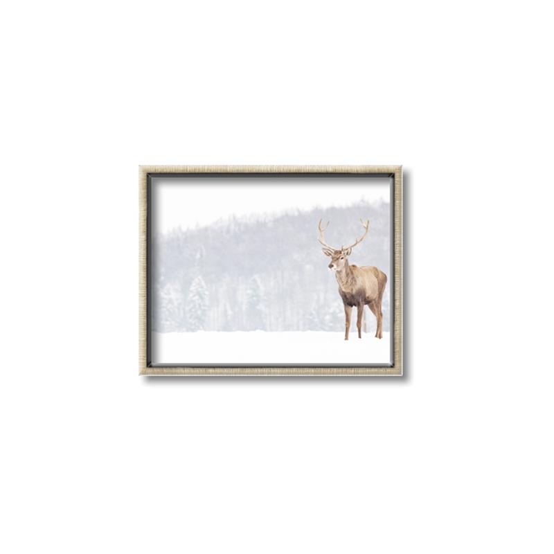 Picture of Winter Stag _GroupedProduct_Rectangle_Landscape_Canvas_Framed_